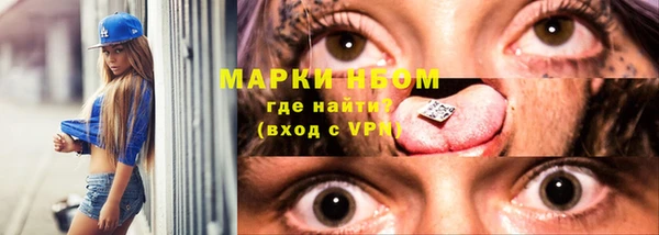 шишки Арсеньев