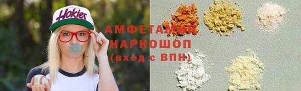 шишки Арсеньев