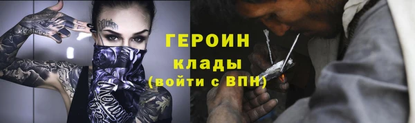 шишки Арсеньев
