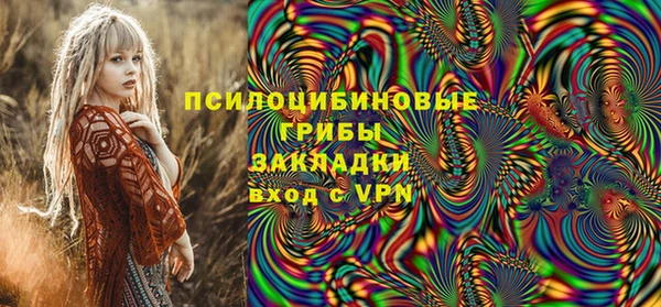 шишки Армянск