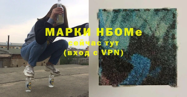 шишки Арсеньев