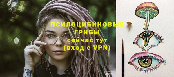 шишки Армянск