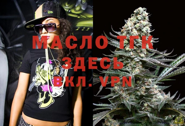 шишки Арсеньев