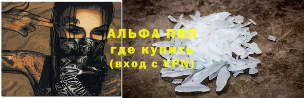 шишки Арсеньев