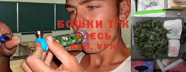 шишки Арсеньев