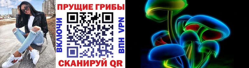 даркнет состав  Аркадак  Псилоцибиновые грибы Psilocybe 